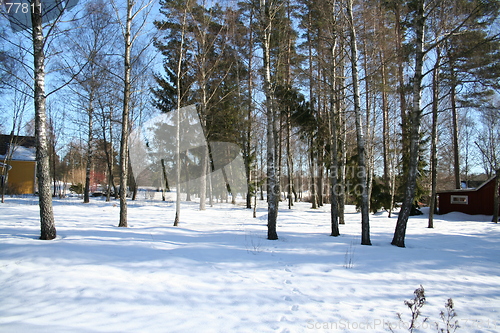 Image of Winter in country-side