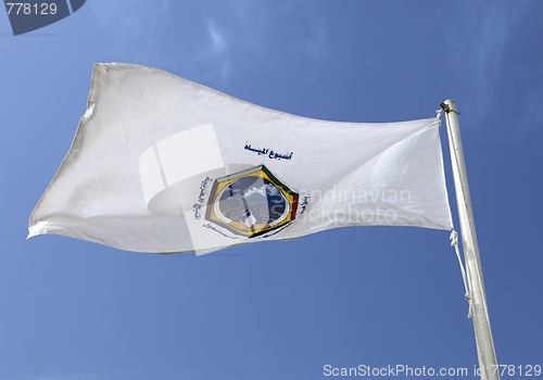 Image of Gulf Cooperation Council flag