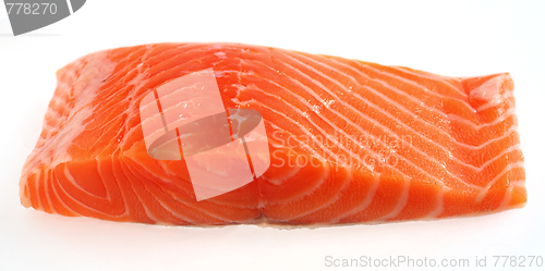 Image of Salmon fillet steak over white