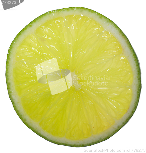 Image of Slice of lime backlit