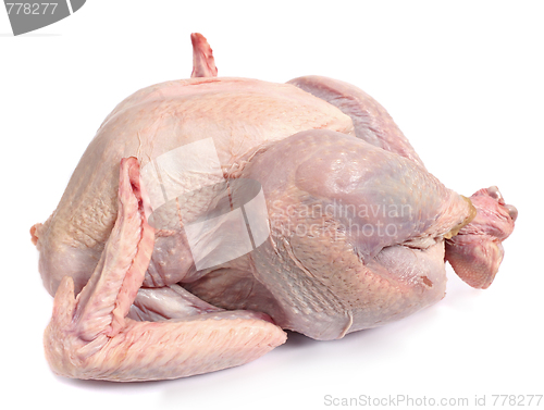 Image of Raw turkey, side view