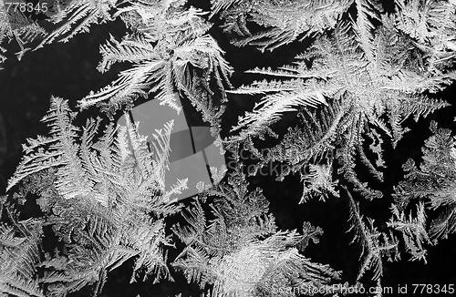 Image of Winter tale, B/W