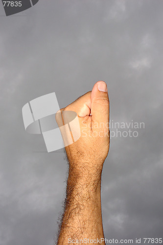 Image of Fist