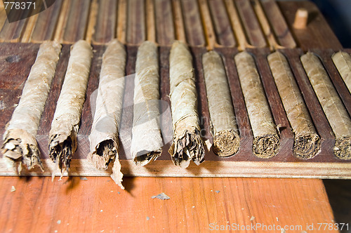 Image of cigars fresh in a rack