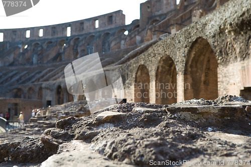 Image of Ruins inside Colosseum