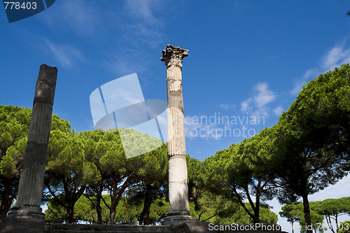 Image of Ancient column tree and blue sky panorama