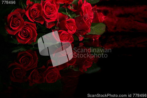 Image of Red rose