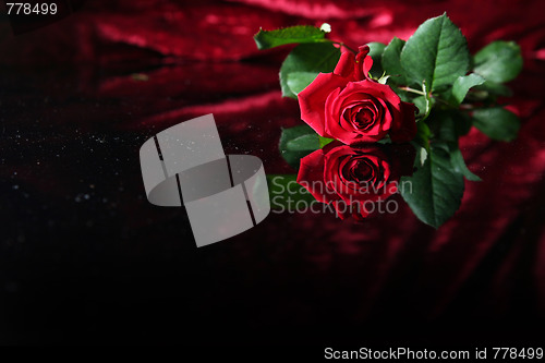 Image of Red rose