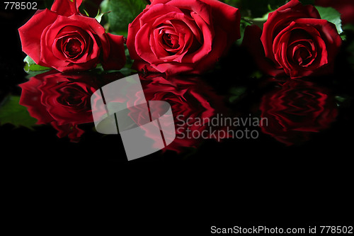 Image of Red rose