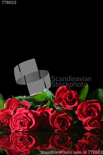 Image of Red rose