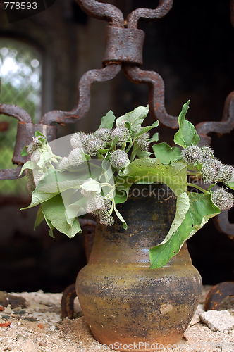 Image of Flowerpot In The Grilled Window Background