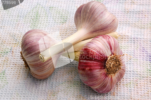 Image of Garlic Bulbs On The Dish Towel