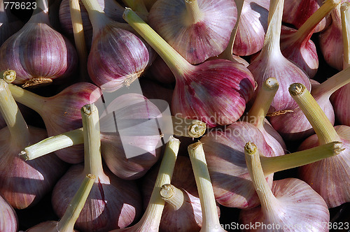 Image of Garlic Bulbs In The Sun