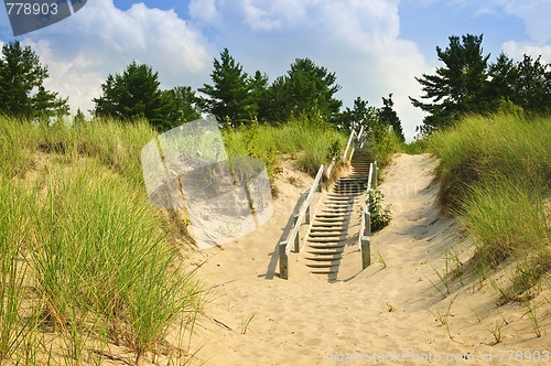 Image of Wooden stairs over dunes at beach