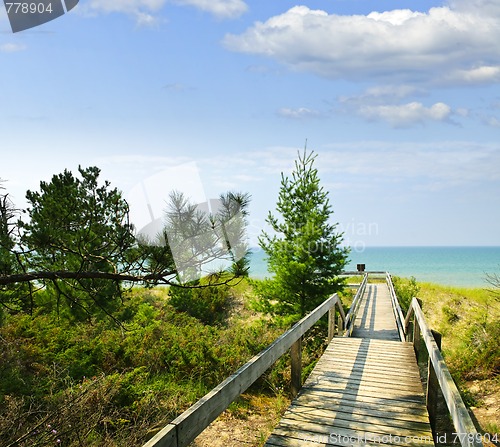 Image of Wooden walkway over dunes at beach