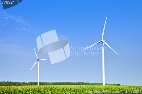 Image of Wind turbines in field