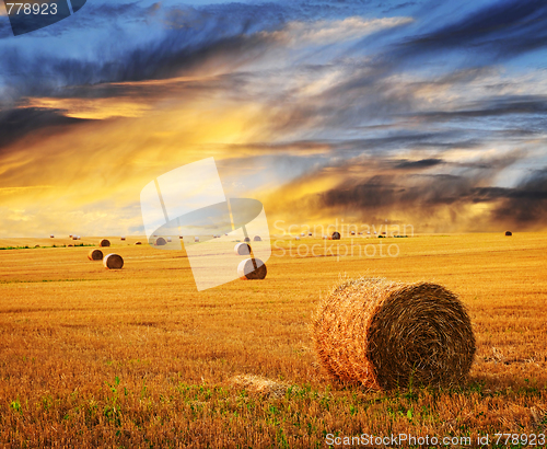 Image of Golden sunset over farm field
