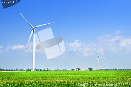 Image of Wind turbines in field