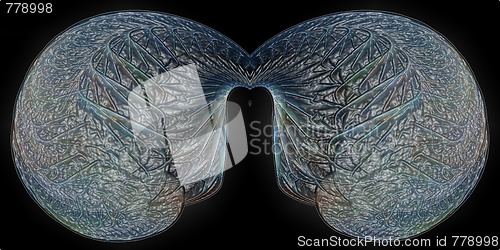 Image of Fractal
