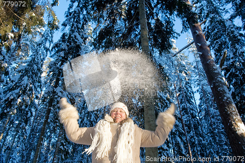 Image of Winters joy