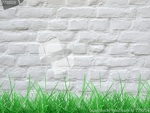 Image of Grass and wall
