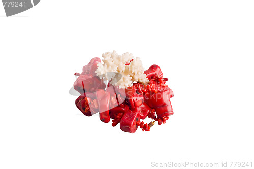 Image of red coral beads and coral