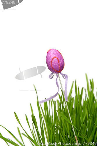 Image of Colorful Easter eggs