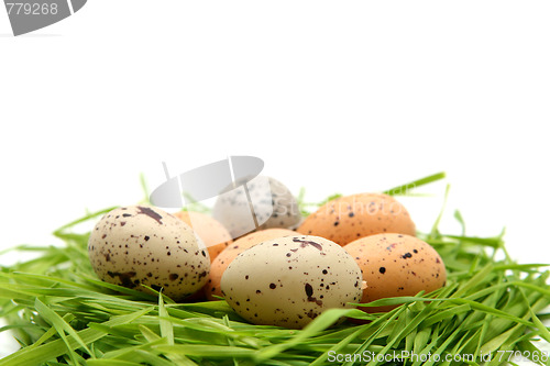 Image of Easter eggs