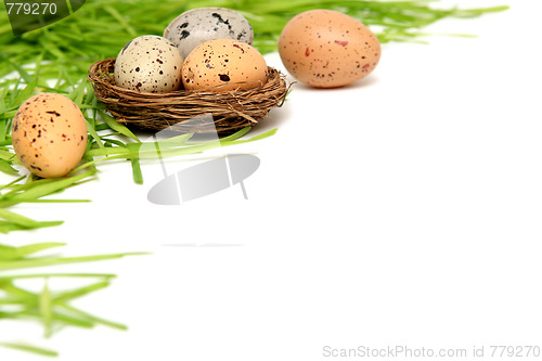 Image of Easter eggs