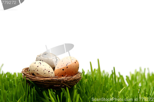 Image of Easter eggs