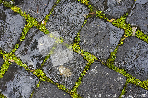 Image of green grass between wet cobblestones