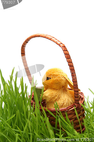 Image of Easter bunny in the grass