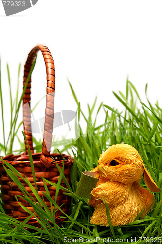 Image of Easter bunny in the grass