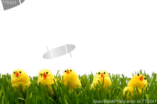 Image of Easter chicken