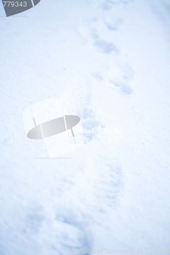 Image of Footprints in snow