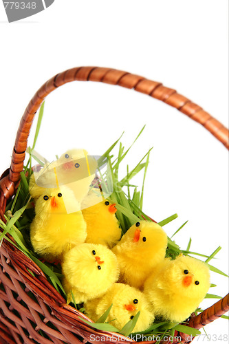 Image of Easter chicken