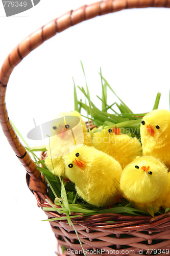 Image of Easter chicken