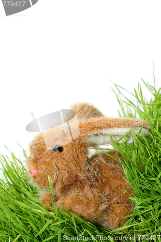 Image of Easter bunny