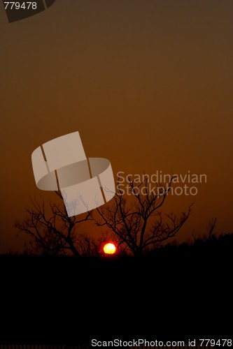 Image of Sunset