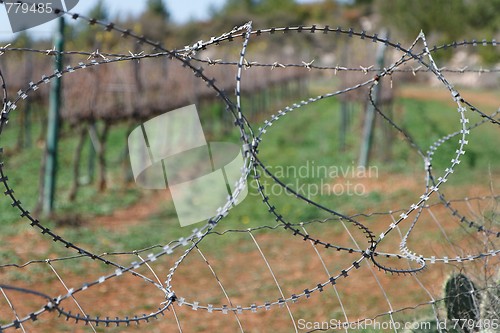 Image of Barbed tape or razor wire fence outdoor