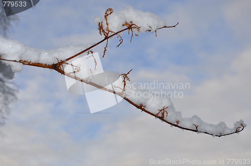 Image of Snow on a brench