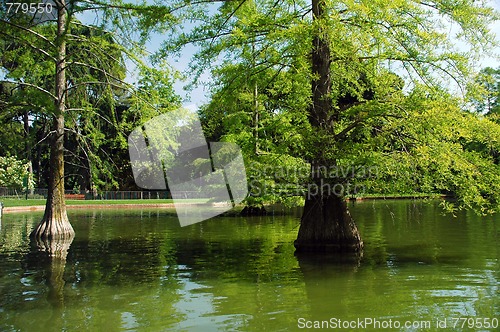 Image of madrid park lake