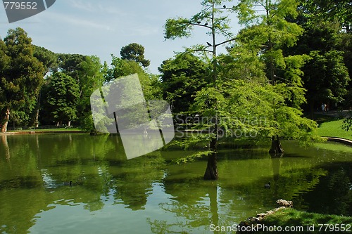 Image of madrid park lake