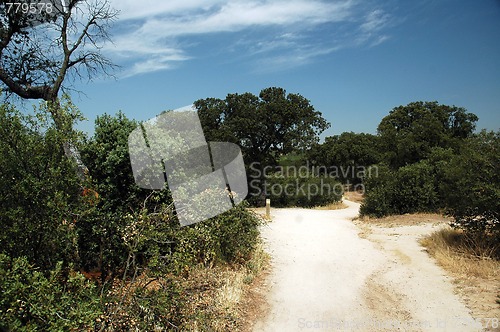 Image of way to zoo
