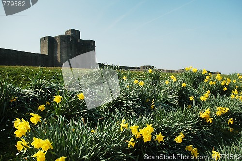 Image of caerphilly castle