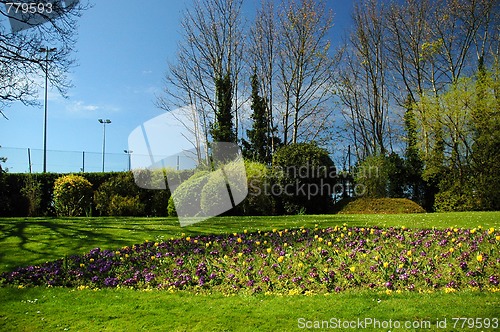 Image of Penarth park