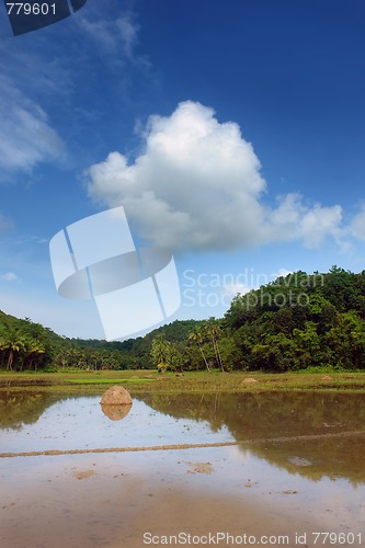 Image of Asian landscape with pond
