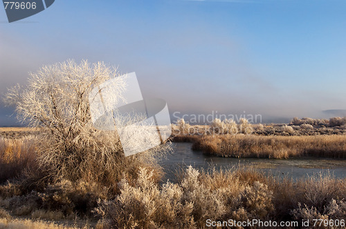 Image of Winter landscape