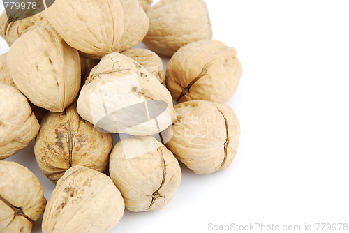 Image of Walnuts on white