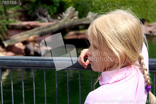 Image of In the zoo